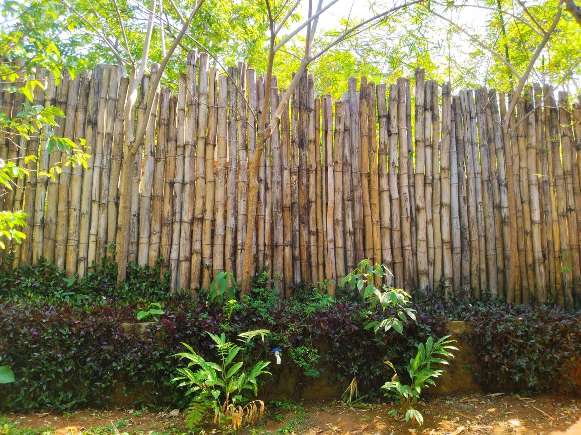 Casa Magica Minca Exterior foto